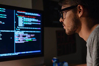 Напишу программу на Delphi для Windows для ФМС