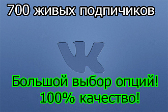 700 подписчиков - друзей Вконтакте на Ваш профиль или в группу