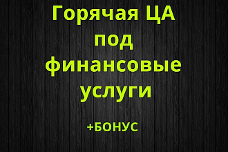 Горячая целевая аудитория под финансовые услуги