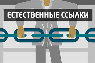 Вечная ссылка на качественном сайте ИКС 360, трафик 155 тыс. в день