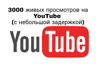Настоящие просмотры на ютуб