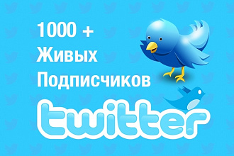 1000 живых подписчиков Twitter