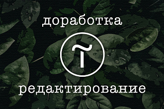 Доработаю или отредактирую ваш сайт на платформе Tilda