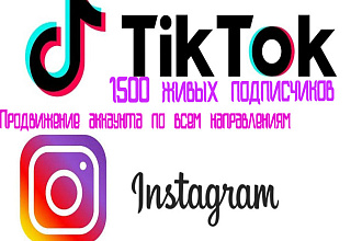Привлечение подписчиков в Tik ToK