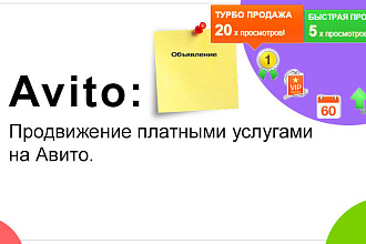 Продвижение Авито в неделю и месяц