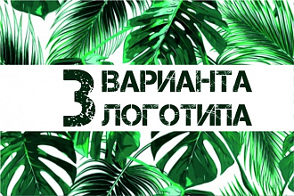 3 варианта логотипа