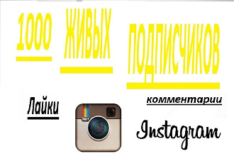 1000 живых подписчиков профиля в Instagram. Гарантия . Качество