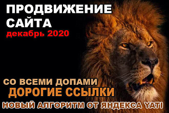 Продвижение сайта 1 запрос, соц. сетями, с покупными ссылками и YATI
