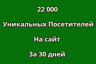 22000 уникальных посетителей на сайт за 30 дней