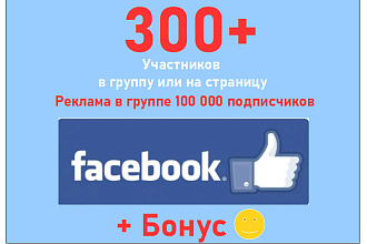 Подписчики на страницу Фейсбук - 300 участников вступят в сообщество