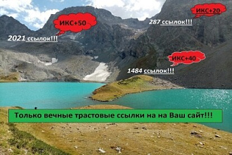 Размещение вечных трастовых ссылок - для повышения позиции сайта