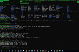 Настрою VPS от Digital Ocean для WordPress Nginx, PHP-FPM, MySQL