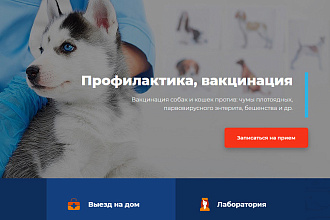 Продающий лендинг +домен в подарок