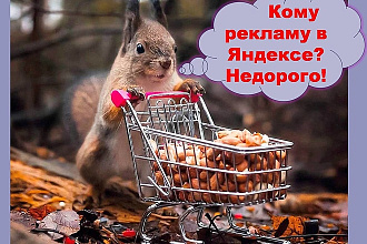 Настройка и ведение рекламы в Яндекс. Директ. Поиск или РСЯ