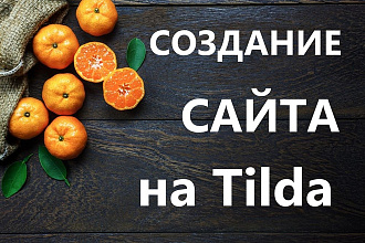 Создание сайта на Tilda под ключ с индивидуальным дизайном