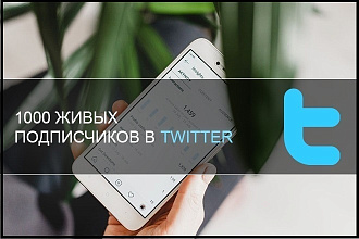 1000 ЖИВЫХ подписчиков в Twitter