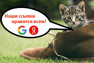20 супертрастовых ссылок. ТИЦ от 1000
