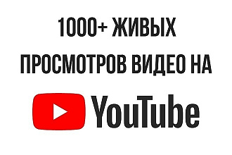 1000 качественных просмотров ютуб