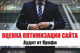 Оценка Оптимизации Сайта от Профи - анализ, внутренней оптимизации