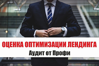 Оценка Оптимизации Лендинга от Профи - анализ, внутренней оптимизации