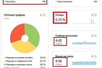 Качественный поисковый трафик от 200 до 300 в сутки целый месяц