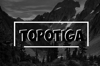 Сделаю 2 простых шрифтовых или обычных логотипа