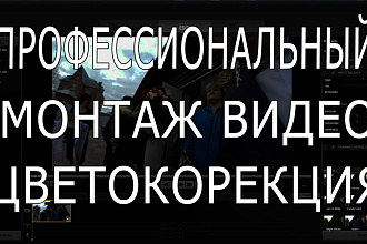 Хорошо смонтирую ваше видео. Добавлю цветокорекции и спецеффектов