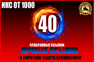 40 отобранных естественных ссылок с ИКС от 1000 и выше + 2 текста