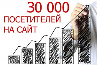 До 30 000 тысяч посетителей