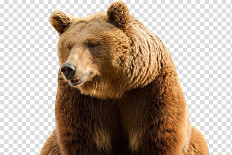 Удалю задний фон фотографии