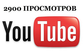 2900 просмотров видеоролика в YouTube
