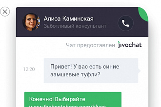 Установлю и настрою онлайн-консультант JivoSite на Ваш сайт