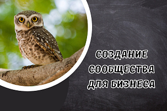 Помогу с созданием сообщества