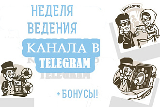 Неделя ведения канала в Telegram + Бонусы