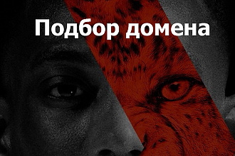Подбор доменов для SEO-продвижения