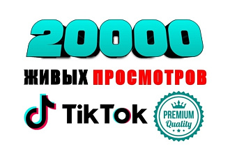 TikTok просмотры наилучшего качества. 20000 просмотров видео в ТикТок