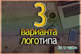 Качественный логотип за 12 часов. В 3 вариантах. Бонус-визуализация
