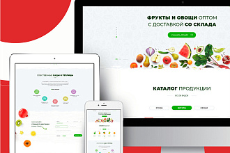 Создам лендинг под ключ