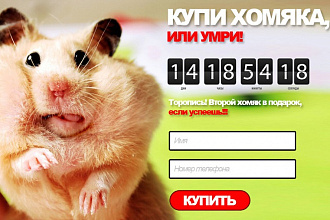 Скопирую лендинг