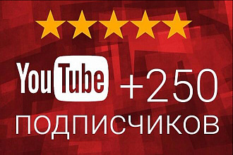 250 подписчиков на канал Ютуб