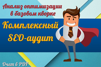 Комплексный аудит + советы + консультация