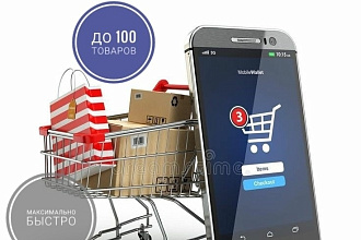 Наполню Ваш сайт товарами, дополнительной информацией