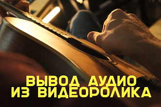 Выведу аудио из видеоролика