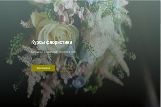 Создаю одностраничные сайты