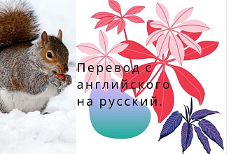 Переведу текст с английского на русский