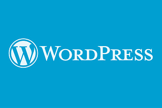 Разработка и правка WordPress