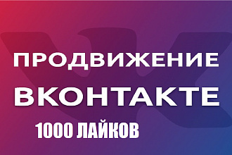 Продвижение Вконтакте 1 000 лайков