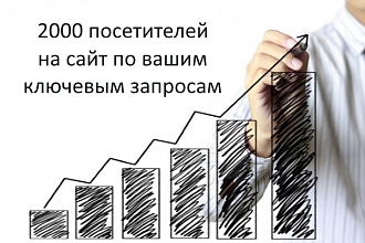 2000 посетителей с поиска на сайт по вашим ключевым запросам
