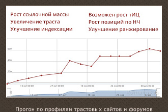 Статейный профильный прогон, 400 ссылок на ваш сайт