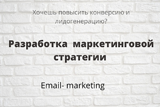 Разработаю интернет, email стратегию для вашего бизнеса